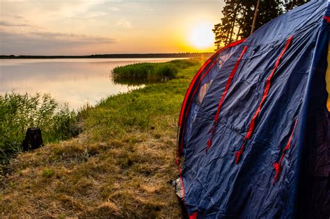 Кемпинг «Лес» — Кемпинг в Курганской области