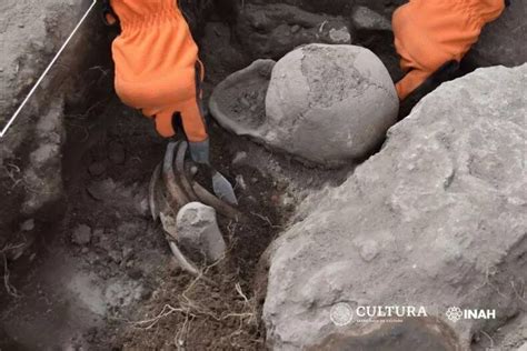 'Heart shaped' cranial deformation discovered on La Ferrería skulls ...