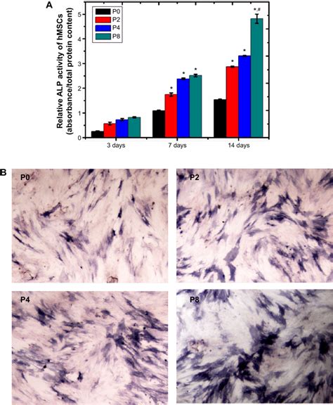 AlP Activity And AlP Staining Assay Notes A Relative AlP Activity