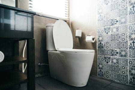 Types Of Toilet Flush Systems Pros And Cons Sensible Digs