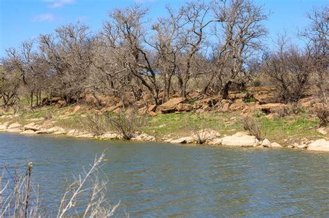 Cattle Ranches for Sale in Texas | TexasLand