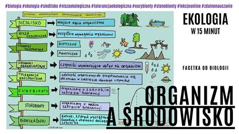 Ekologia Organizm A Rodowisko Tolerancja Ekologiczna Darmowe