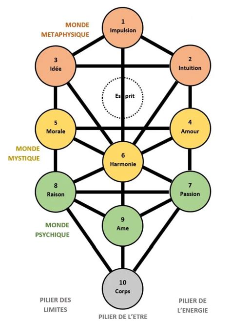 Larbre de Vie La Kabbale Arbre de vie La kabbale Arbre séphirotique
