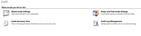 Auditing In Dynamics Crm Softchief Learn