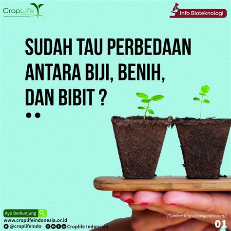 Perbedaan Antara Biji Benih Dan Bibit CropLife Indonesia