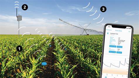 The Challenges Of Implementing A LoRaWAN Based Smart Agriculture