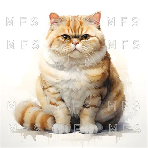 Watercolor Overweight Cats Clipart 20 High Quality S Instant