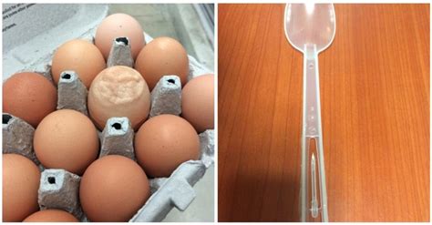 Everyday Objects With An Added Twist