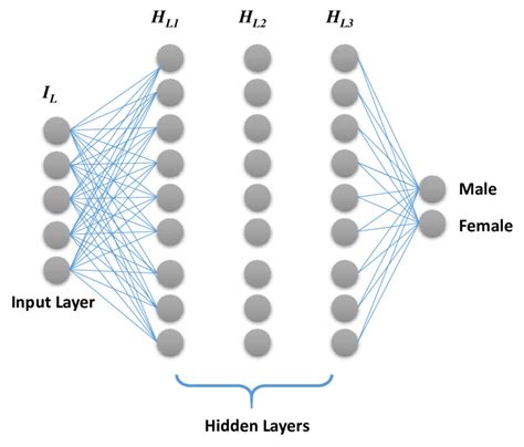 Deep Neural Network Architecture For Gender Classification Download