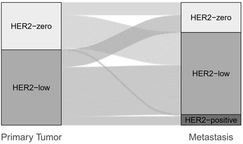 Change of HER2 status between primary tumor and metastasis in the ...