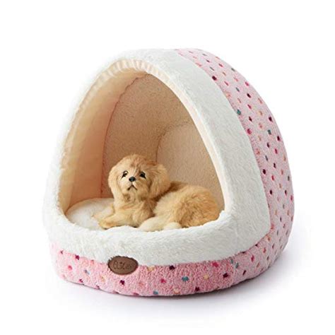 Top 10 Best Dog Igloo of 2021 Review – Best Pet Pro