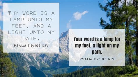 Psalm 119 105 Bible Verse Of The Day