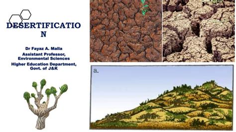 Desertification | PPT