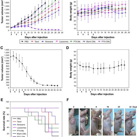 Antitumor Activity Of Ptx Cms In Bel7402 Xenograft Mice Notes Download Scientific Diagram