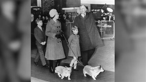 A queen and her corgis: Elizabeth loved breed from childhood