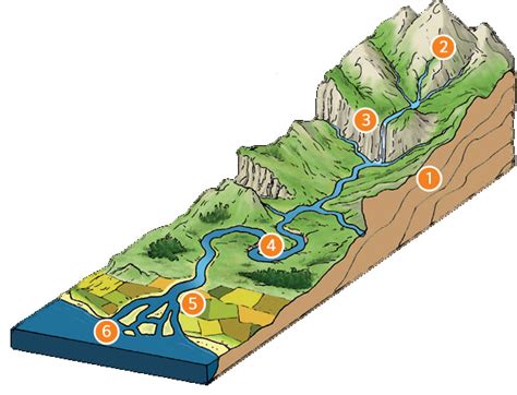 Juegos de Geografía Juego de Las partes de un río Cerebriti