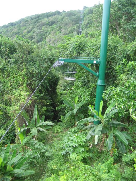 Zipline Bobsled Chairlift Take The Tranopy Tour Mystic Mountain