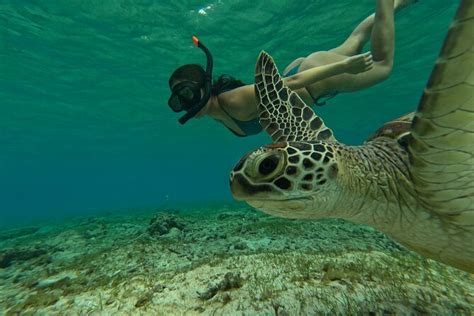 Public Snorkeling Islands