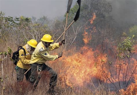 Queimadas causas e consequências Toda Matéria