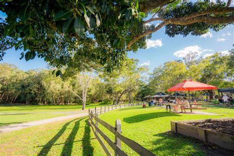 Noosa Everglades Explorer Cruise With Optional Canoeing GetYourGuide