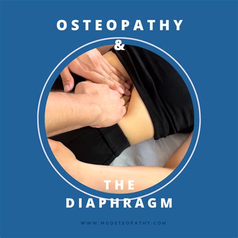 The Diaphragm Mg Osteopathy East London