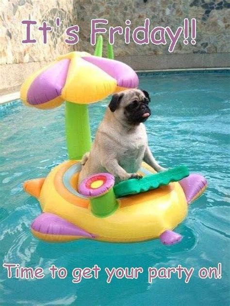 72 Best Images About Its Fridaypayday On Pinterest Pug Meme On