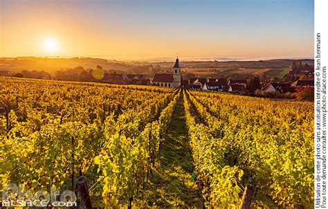 Photo Vignoble de Rott en automne et église Saint Georges Parc