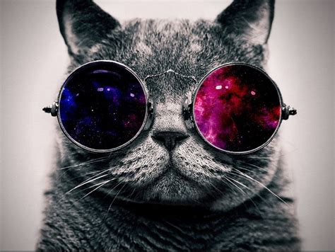 galaxy cat with glasses Memes - Imgflip