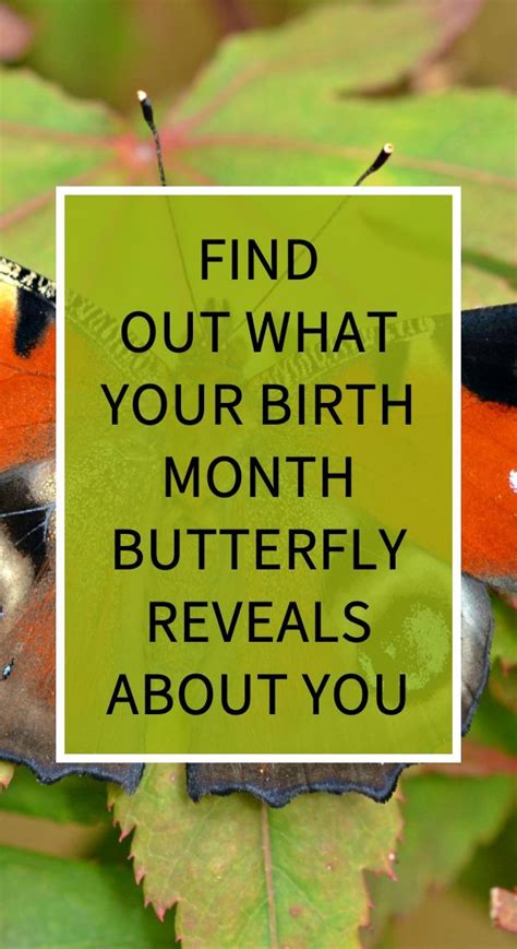 Find Out What Your Birth Month Butterfly Reveals About You Natural