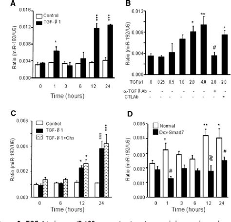 Figure 2 From Mir 192 Mediates Tgf Betasmad3 Driven Renal Fibrosis Semantic Scholar