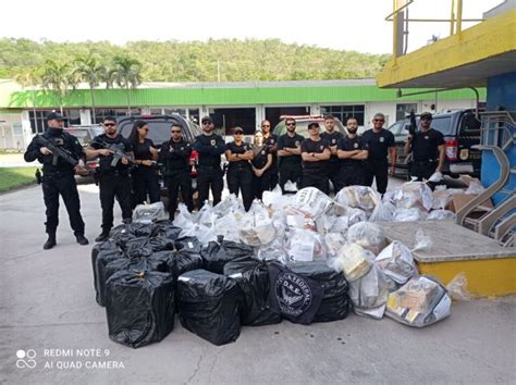 Pf Incinera Quase Toneladas De Drogas Apreendidas Em Mt O Livre