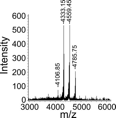 Scielo Brasil Detection And Identification Of Huwentoxin Iv