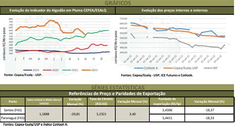 Algodão Preços Internos Do Algodão Em Pluma Recuaram Ao Longo De