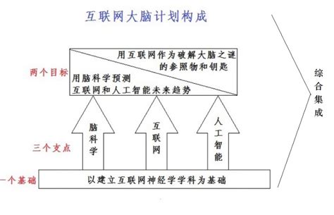 科学网—中国脑计划颠覆性创新之路，互联网大脑计划向30位院士进行报告 刘锋的博文