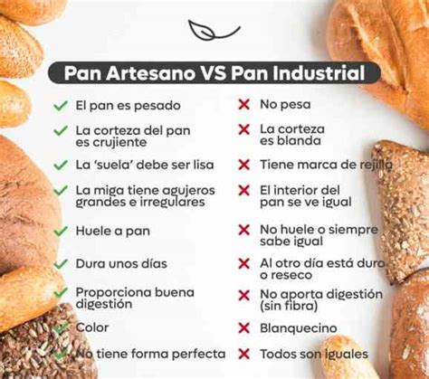 La Importancia Del Pan En La Digesti N Neurat