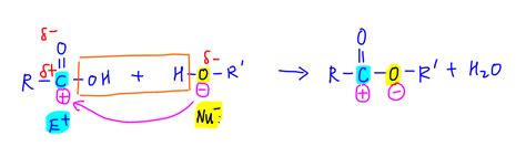 Condensation Polymerisation Of Polyesters