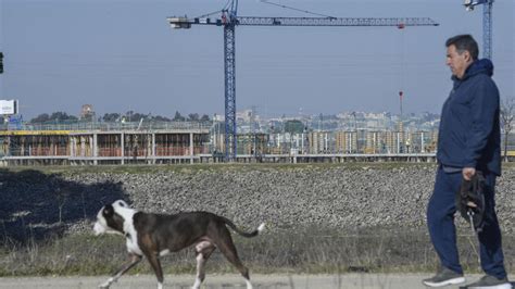 El Ayuntamiento De Sevilla Autoriza La Construcci N De Viviendas De