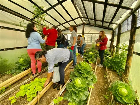 Alcald A De Manizales Impulsa El Fortalecimiento De Las Huertas Urbanas