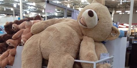 Big Teddy Bear Costco