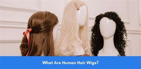 What Are Human Hair Wigs? | Wig.com