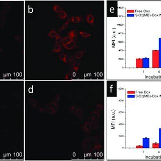 Cellular Uptake Comparison Of Free Dox And Dox Loaded In NP Carrier At