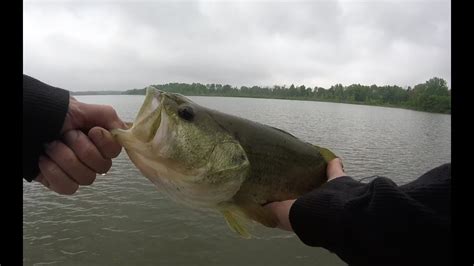 Largemouth Bass And Panfish Fishing Waterford Ponds June 2019 YouTube