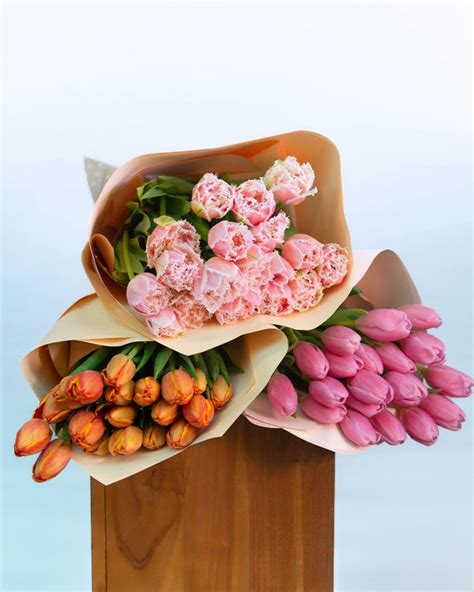 Brisbane Market Flowers - Same-Day Flower Delivery in Brisbane