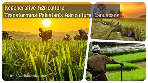 Regenerative Agriculture Transforming Pakistans Agricultural