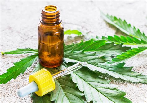 Health benefits you did not know about Cannabis Oil - Selfeed