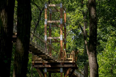 Sky Canopy Walk opens at MSU’s Hidden Lake Gardens - mlive.com