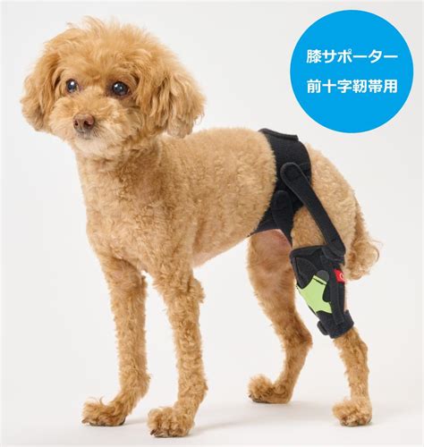 オーダーメイド 膝サポーター 前十字靭帯用 犬用コルセット・介護用品の販売 Anifullアニフル