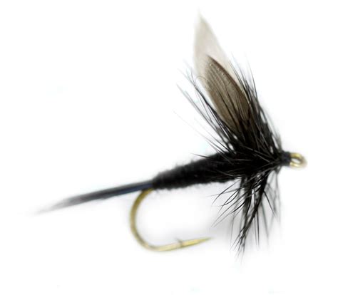 Black Gnat Dry Fly Trout Fly Black Fly