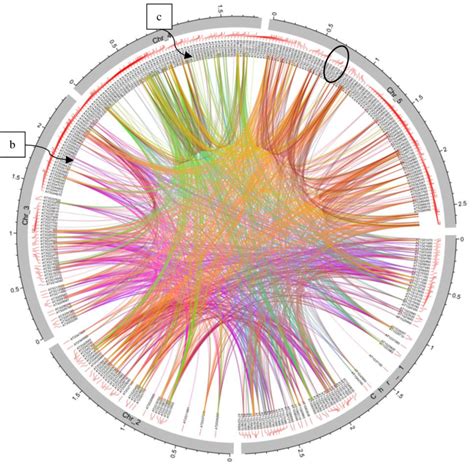 A Circos Representation Of Highly Significant Overrepresented Download Scientific Diagram