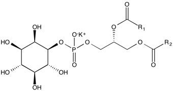 Phosphatidylinositol (50%) | CAS 97281-52-2 | Focus Biomolecules